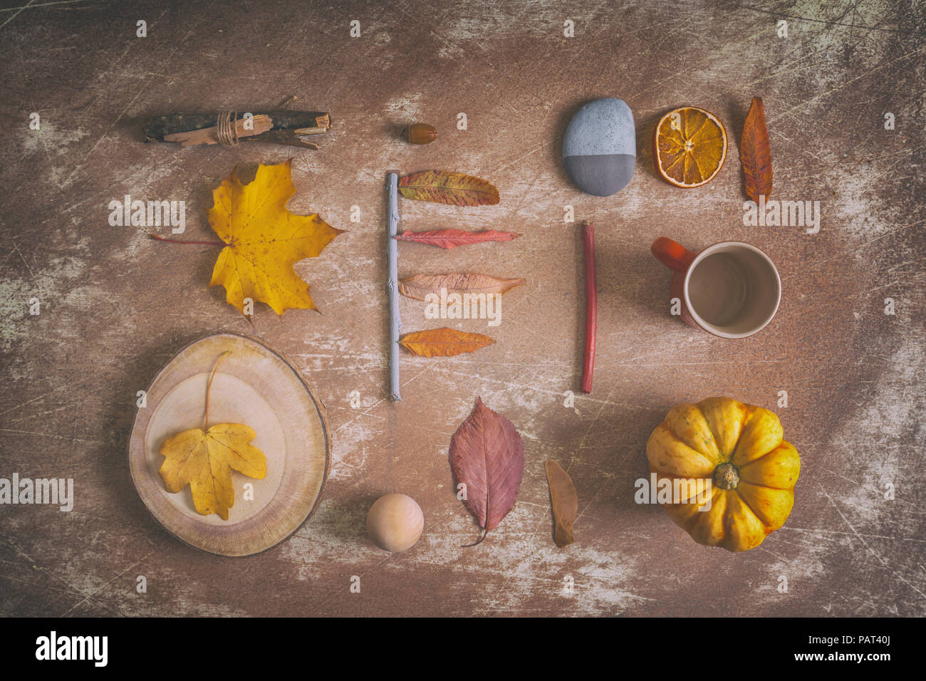 Verschiedene herbstliche Objekte Zusammensetzung in warmen Farben auf Grunge Hintergrund Stockfoto