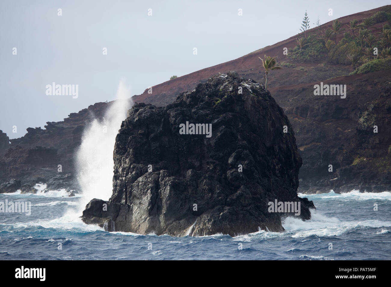 Bounty Bay, Pitcairninseln, Wellen, die in einen Offshore-Felsen Stockfoto