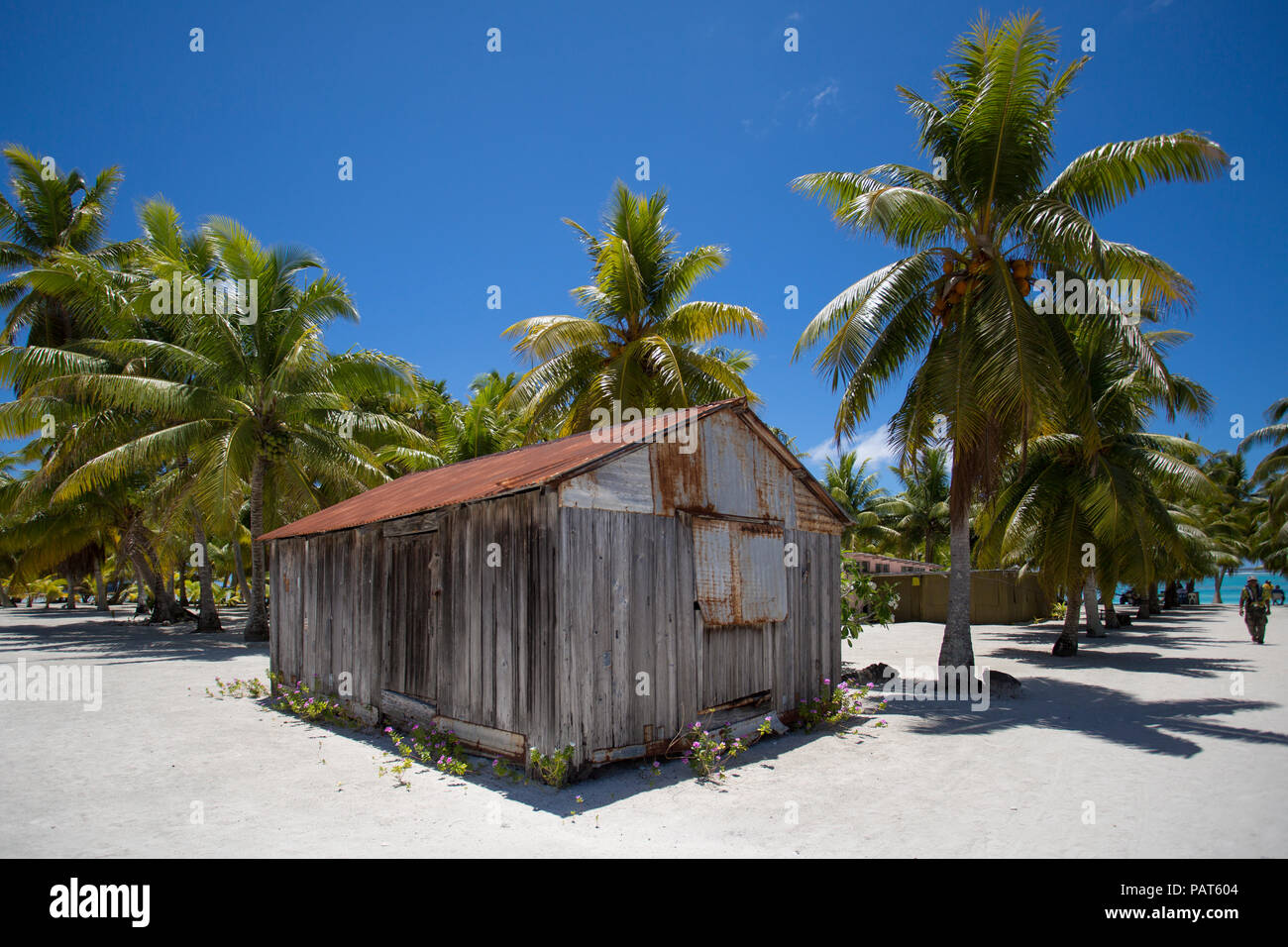 Cook-Inseln, Palmerston Insel. Entfernten rustikales Dorfhaus mit Kokosnuss-Palmen und weißem sand Stockfoto