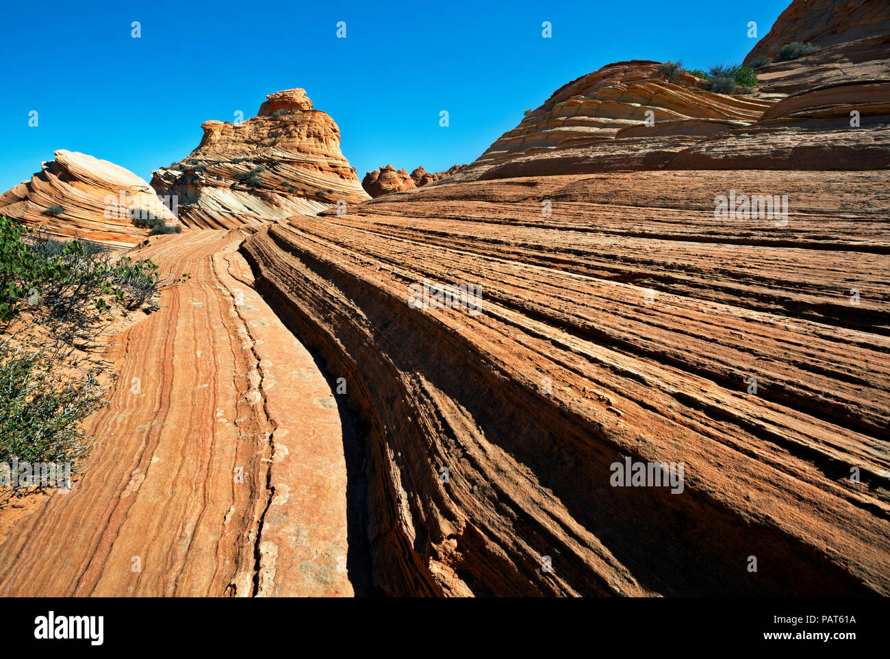 AZ 00189-00 ... ARIZONA - Die Schichten- und Sandstein Felsformationen in den Coyote Buttes, südlichen Abschnitt des Paria Canyon - Vermilion Cliffs Wilderness Area. Stockfoto