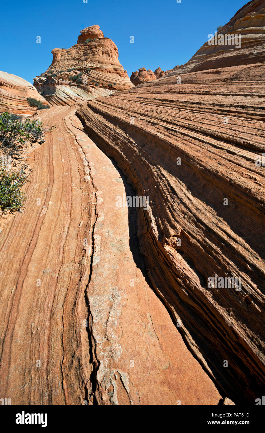 AZ 00190-00 ... ARIZONA - Die Schichten- und Sandstein Felsformationen in den Coyote Buttes, südlichen Abschnitt des Paria Canyon - Vermilion Cliffs Wilderness Area. Stockfoto