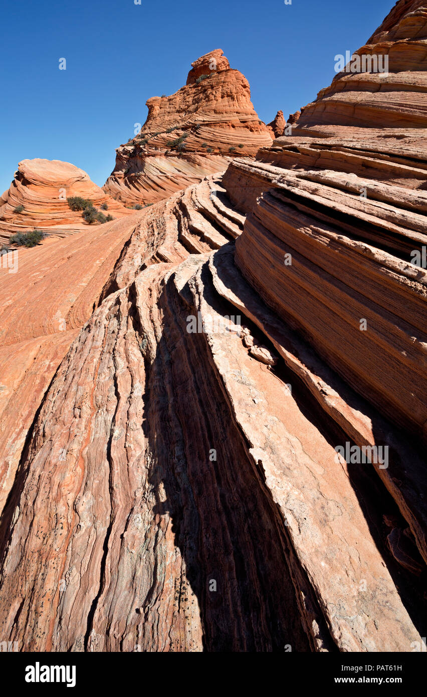 AZ 00191-00 ... ARIZONA - Die Schichten- und Sandstein Felsformationen in den Coyote Buttes, südlichen Abschnitt des Paria Canyon - Vermilion Cliffs Wilderness Area. Stockfoto