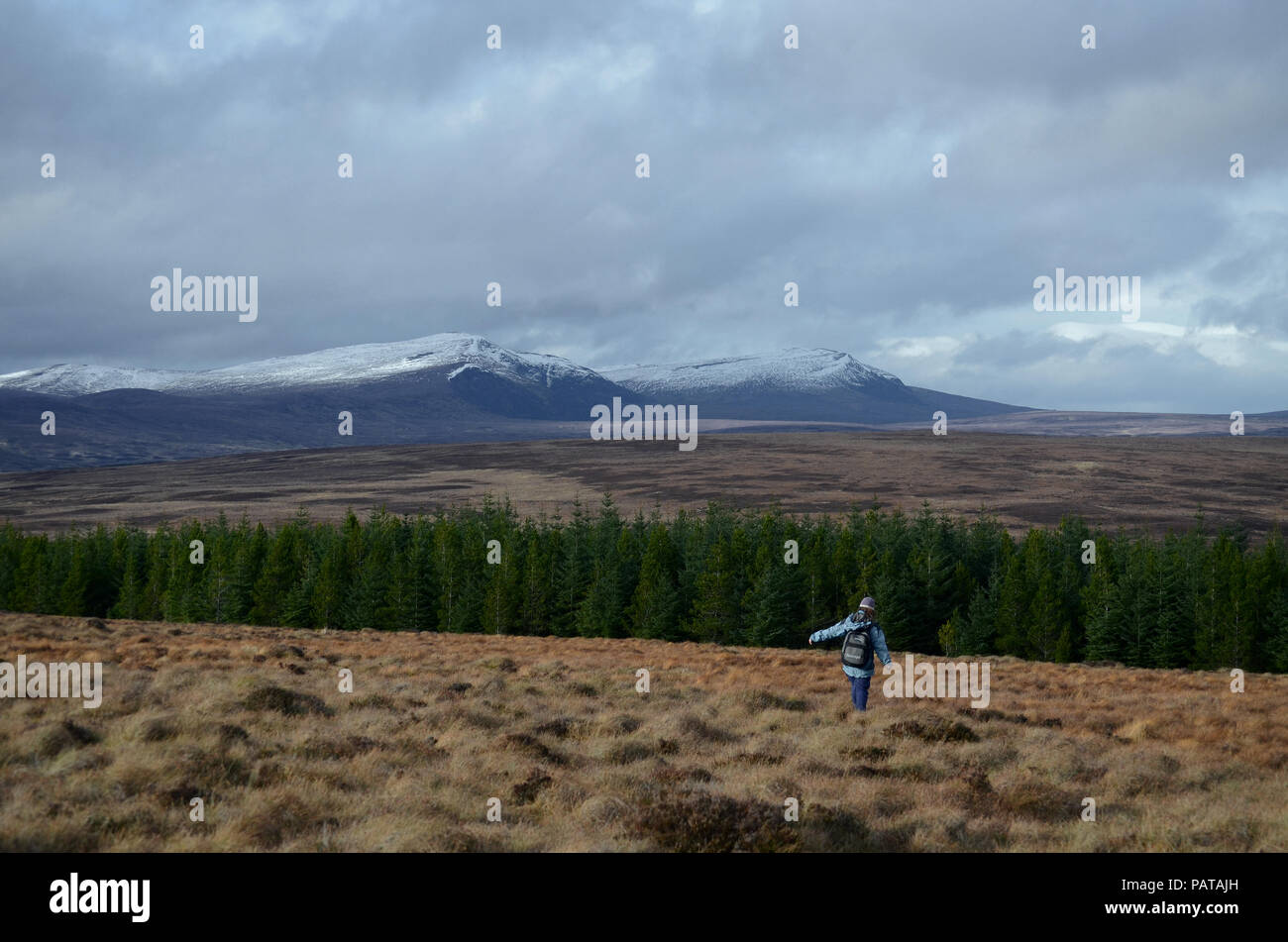 Ein einsamer Wanderer Kreuzung offenen Moor in den schottischen Highlands, Großbritannien Stockfoto