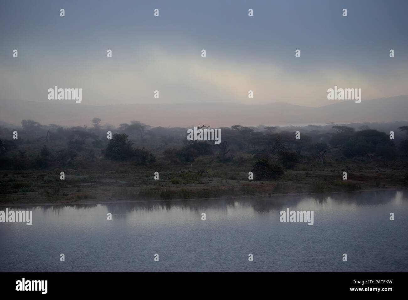 Früh morgens Nebel auf der Zimanga Private Game Reserve in KwaZulu Natal, Südafrika Stockfoto