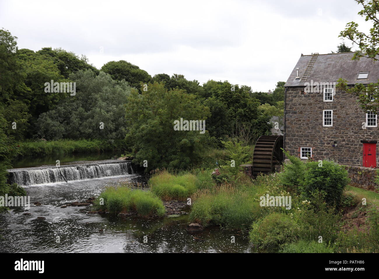 River Bush Stockfoto