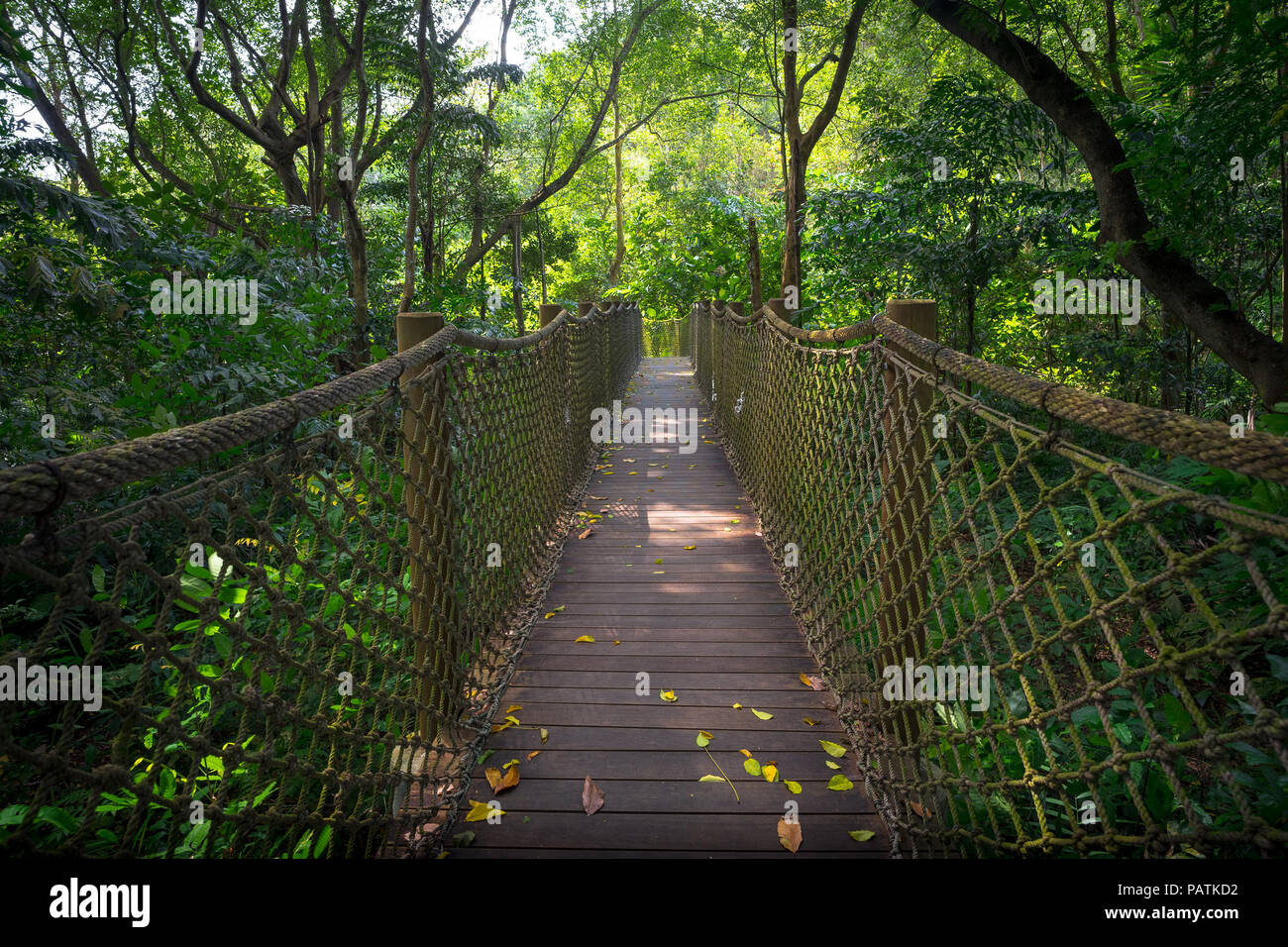 Eine Hängebrücke aus Seil, hoch in den Dschungel Vordach - Sungei Buloh, Singapur Stockfoto