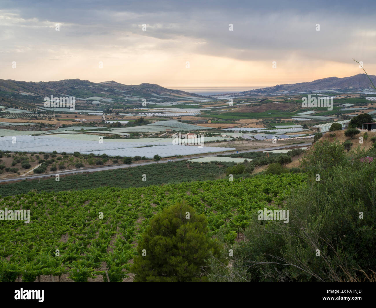 Die intensive Landwirtschaft, die außerhalb von Agrigento, Sizilien Stockfoto