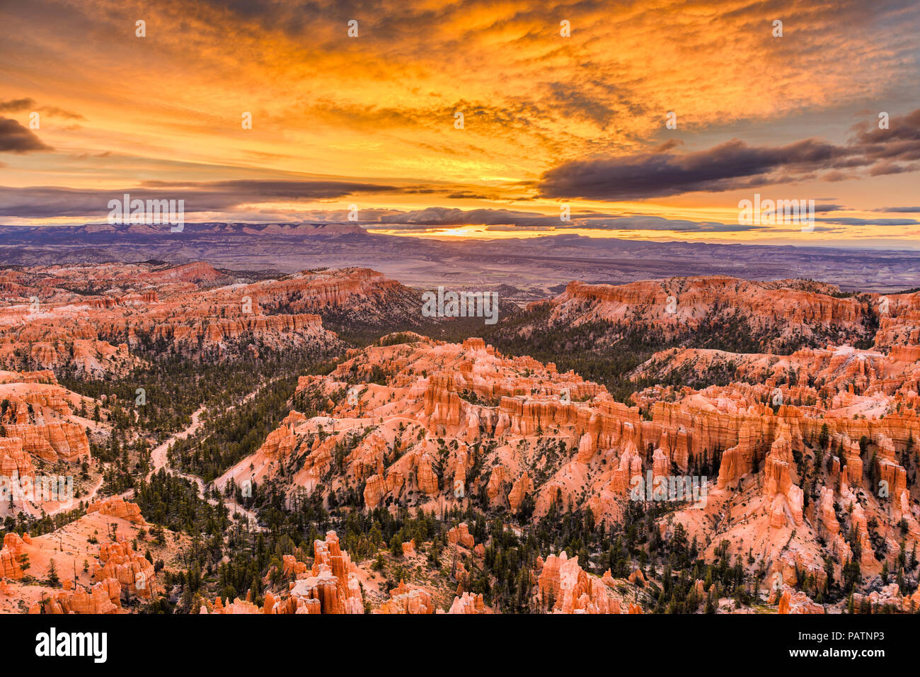 Bryce Canyon National Park, Utah, USA, in der Morgendämmerung. Stockfoto