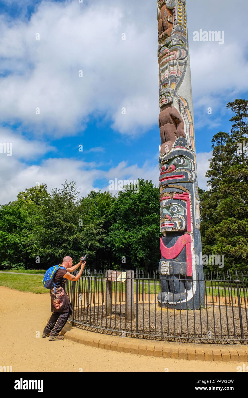 Valley Gardens, Windsor Great Park, Großbritannien, 20. Juni 2018. Besucher fotografieren Der Totempfahl in Tal Gärten. Die 100-Bav hoch Pole wurde aus einem Si gemacht Stockfoto