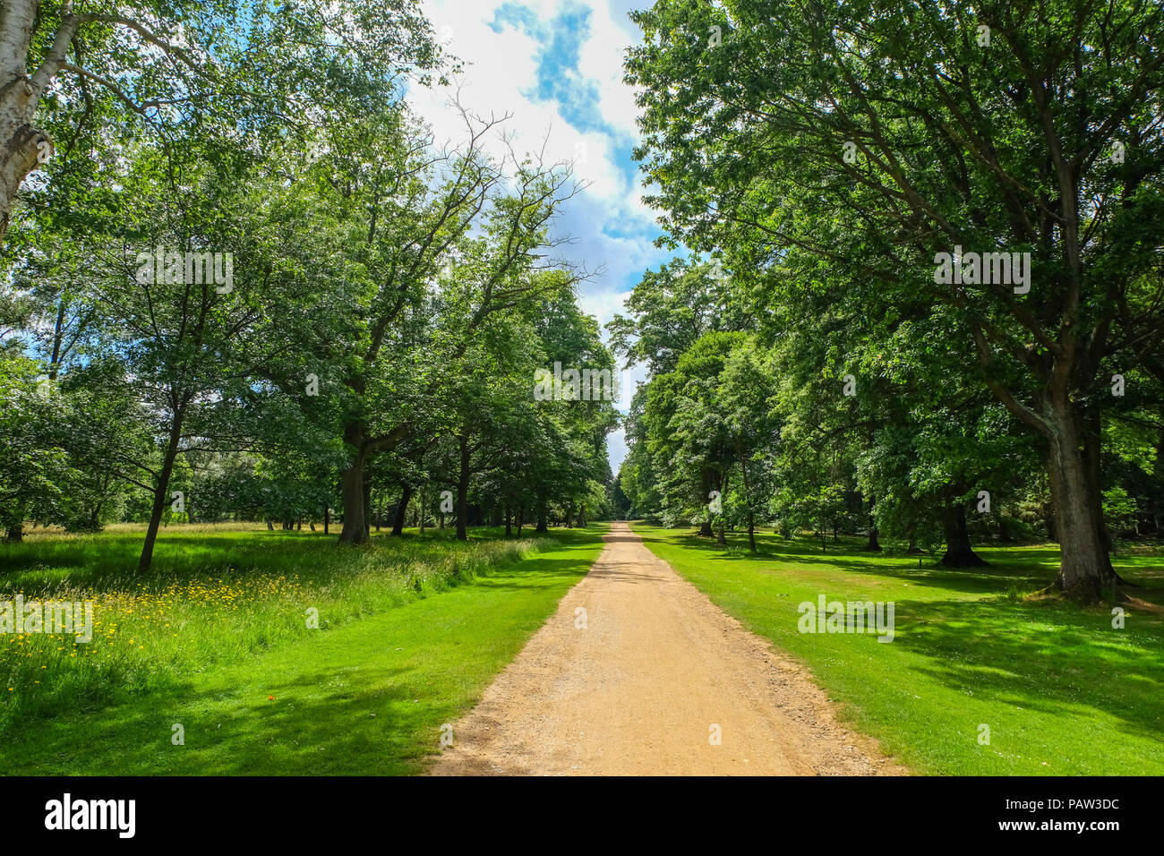 Kies Weg durch das Tal Garten, Windsor Great Park, UK. Stockfoto