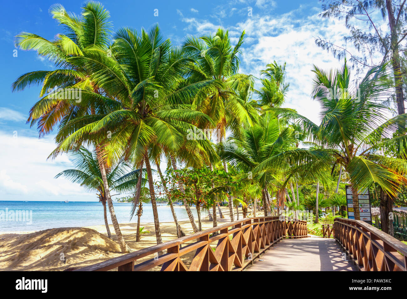 Hölzerne Brücke unter den Palmen am Strand Stockfoto