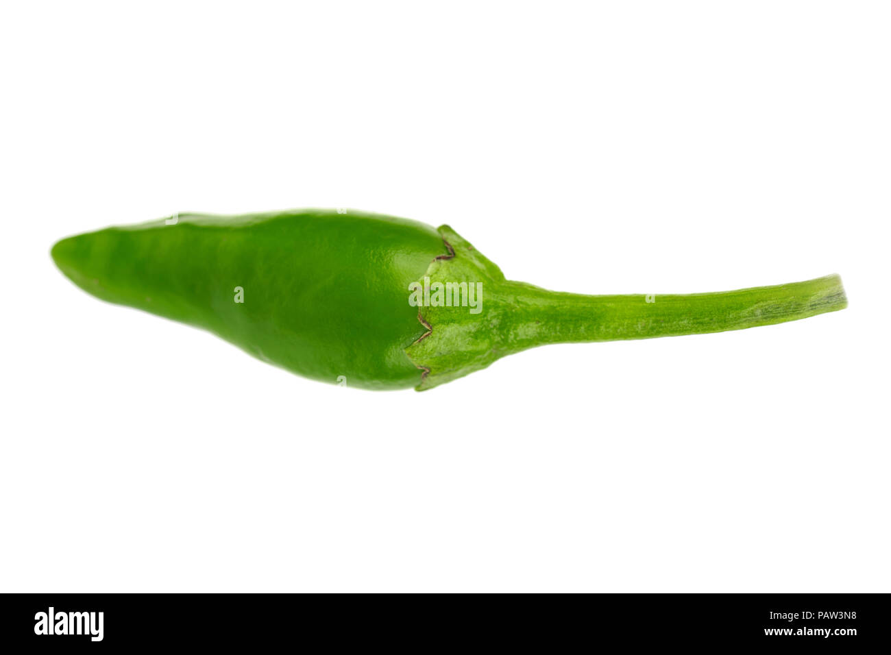 Eine heiße Würzige grüne Chili auf weißem Hintergrund Stockfoto