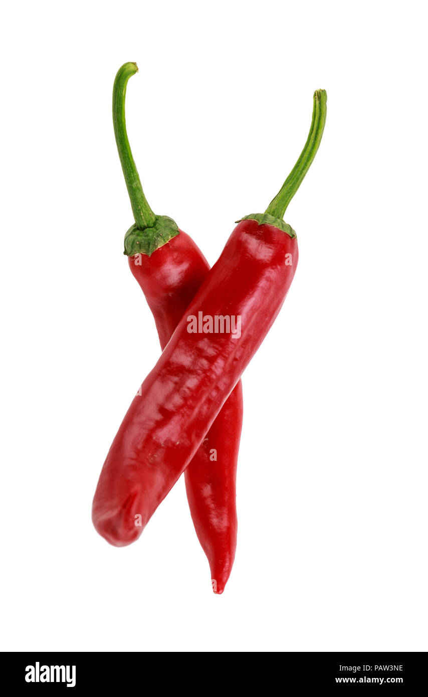 Zwei Hot red chili peppers auf weißem Hintergrund. würzige Zutaten Stockfoto