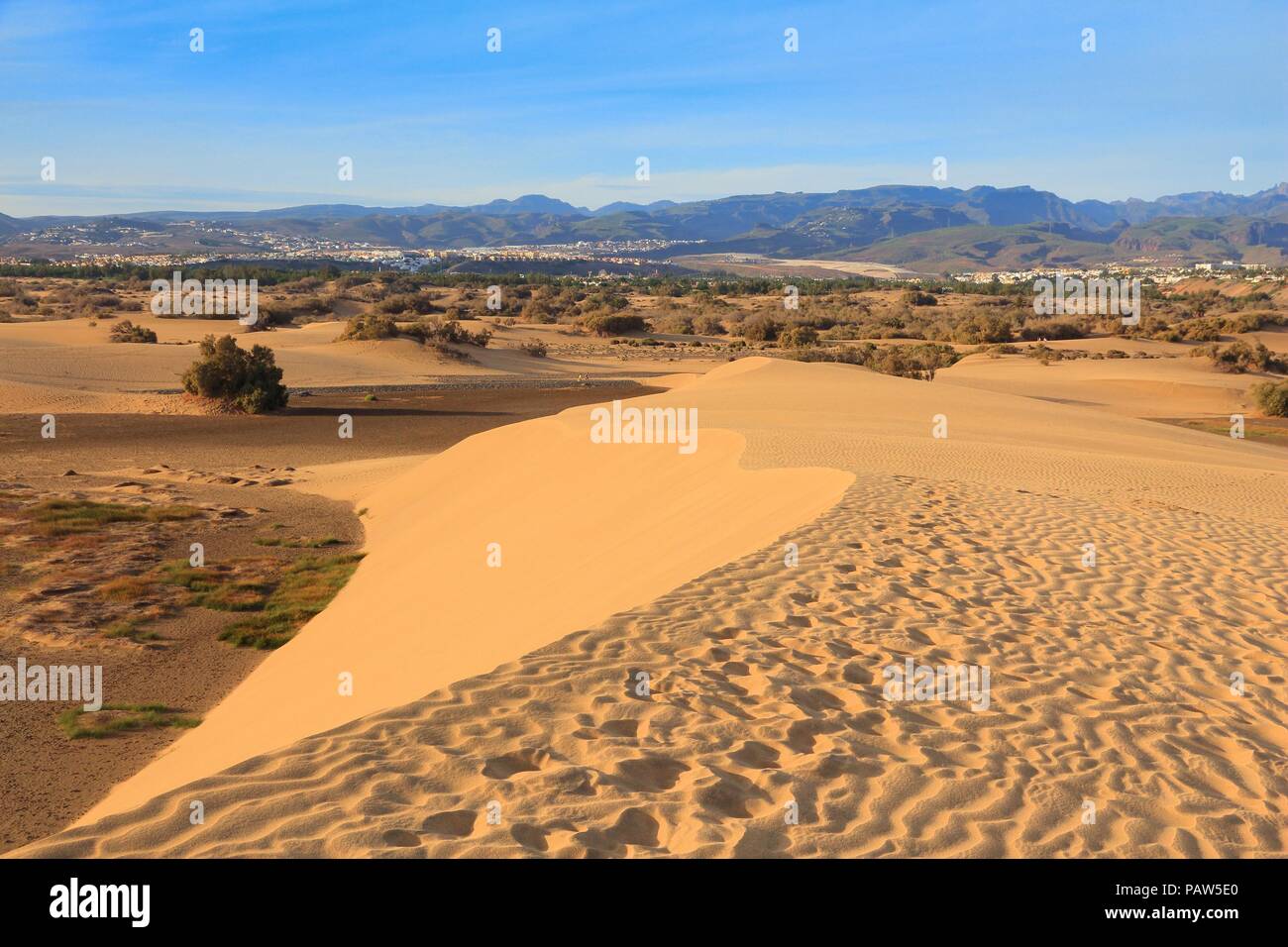 Gran Canaria Maspalomas Sanddünen - Landschaft der Wüste. Stockfoto