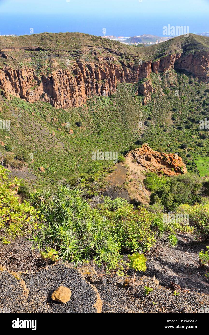 Caldera de Bandama - vulkanische Landschaft von Gran Canaria, Spanien. Stockfoto