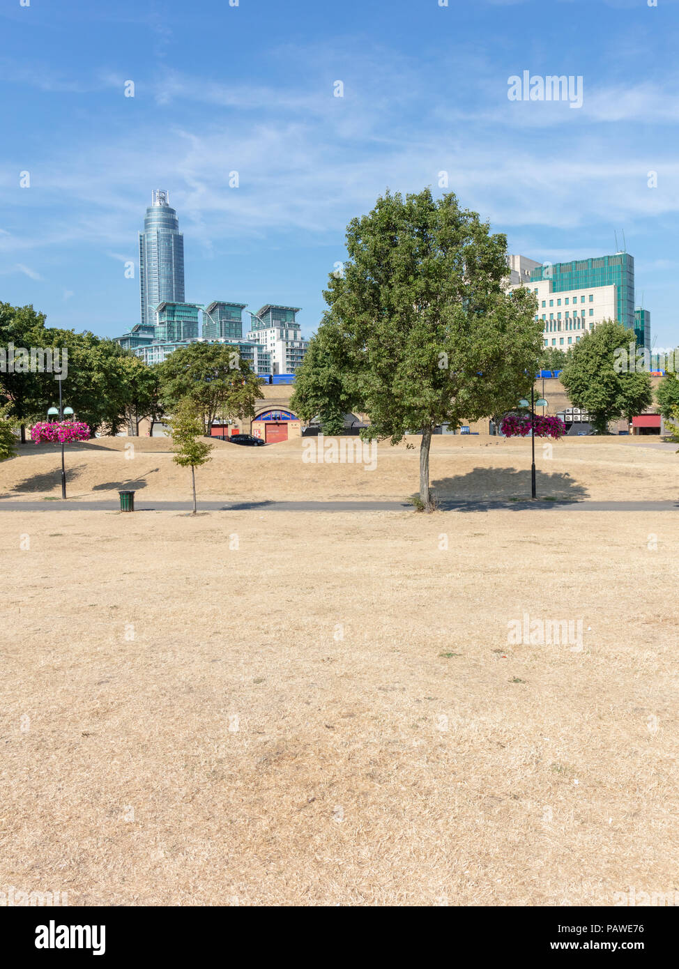 Vauxhall, London, UK, 25. Juli 2018. Vauxhall Pleasure Gardens, London, UK Wetter - Gras hat sich Gelb und sieht aus wie Stroh aufgrund der aktuellen Sommerhitze Stockfoto
