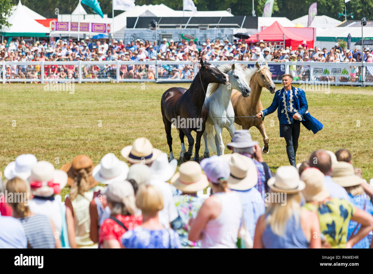 Horse Blinders On Stockfotos Und Bilder Kaufen Alamy
