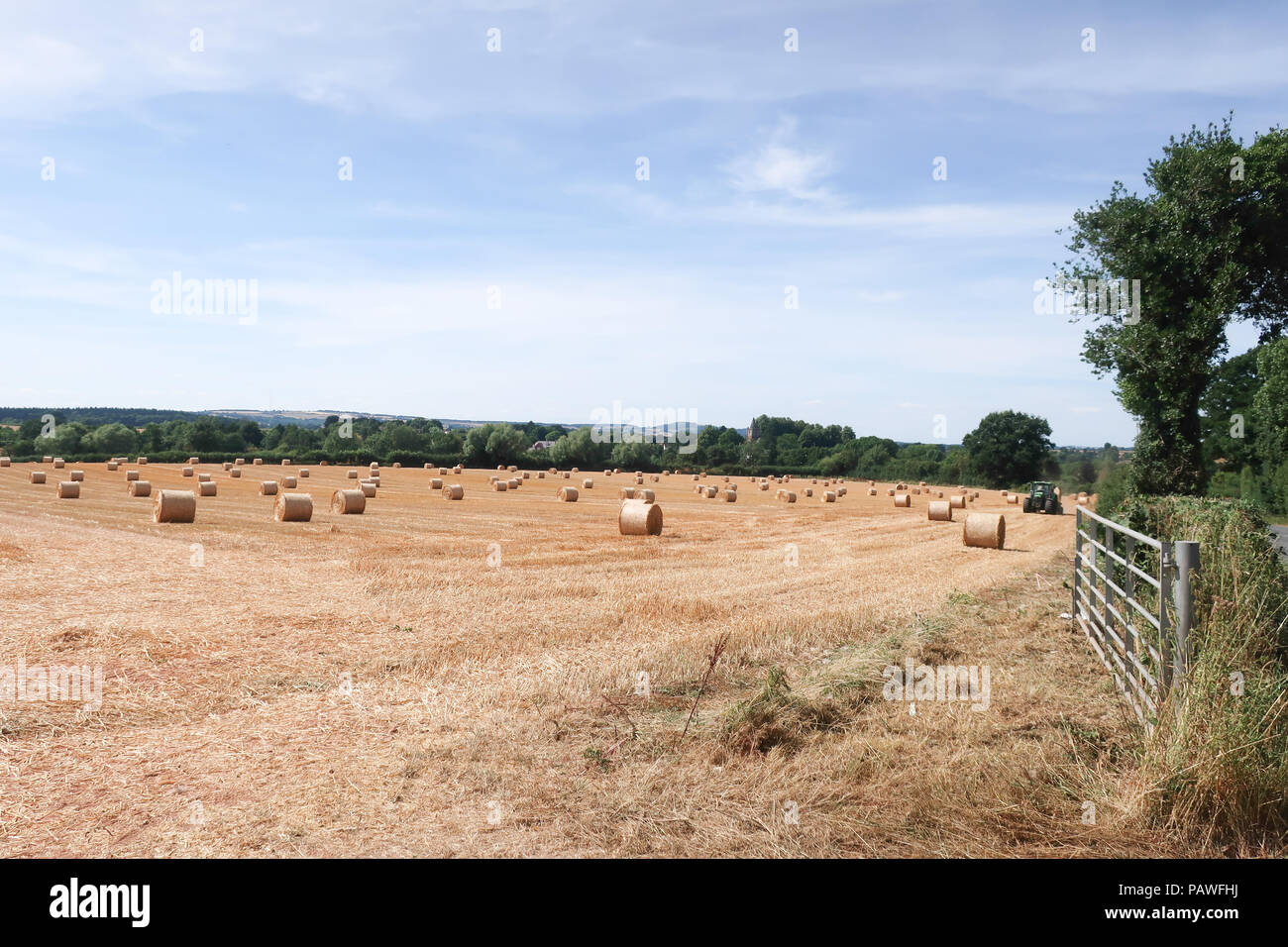 Newent Glos, Großbritannien. 25. Juli 2018. Die Landwirte erhalten einen frühen Start über die Ernte, aber Erträge voraussichtlich niedriger als normal wegen der Dürre. Die Qualität sollte gut sein, aber die geringere Ausbeute wird zu höheren Weizenpreise und teuerer Brot führen. Quelle: Dr. Ian B Oldham/Alamy leben Nachrichten Stockfoto