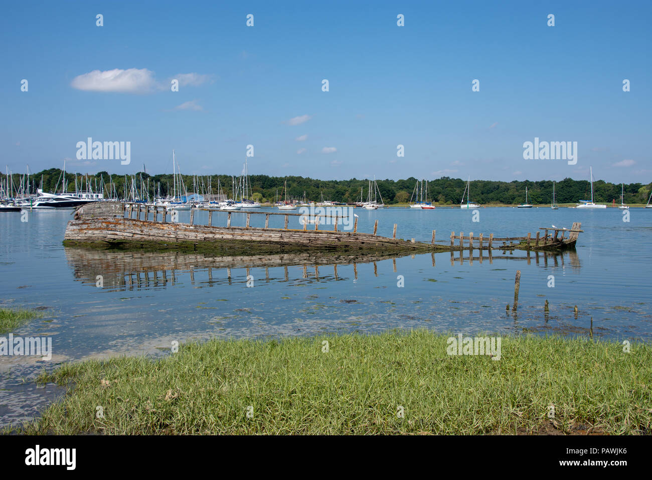 Hölzerne Schiffswrack an hamble River, Warsash, Hampshire, Großbritannien Stockfoto