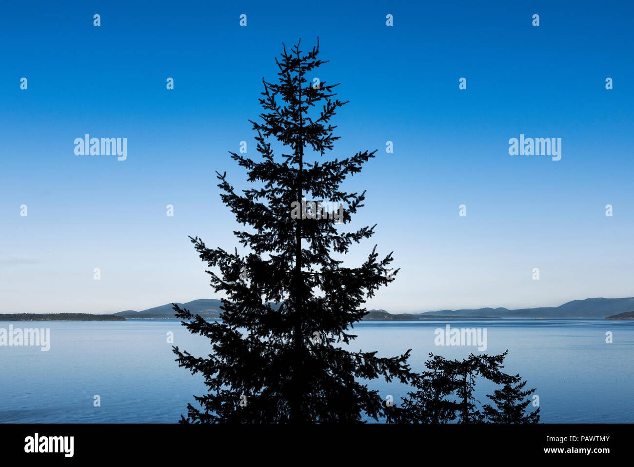 Morgen malerische Küste mit Blick auf die Bucht von Samish, Washington, USA. Stockfoto