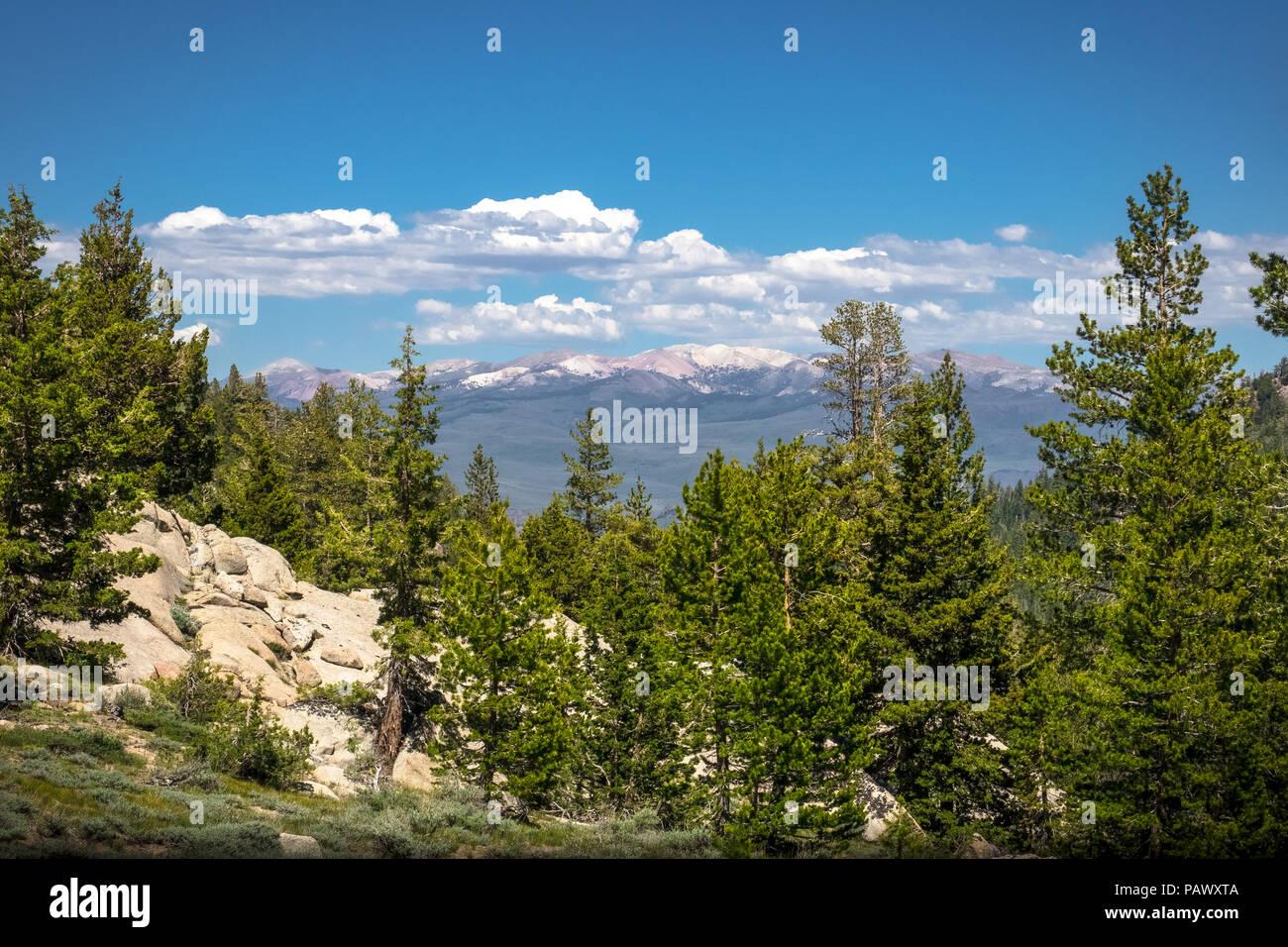 Mountain Lookout zu östlichen Sierra von Sonora Pass-Highway 108, Kalifornien Stockfoto