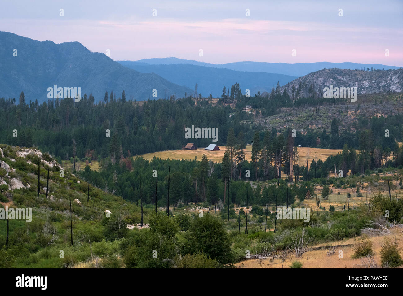 Berge und Foresta Tal entlang Big Oak Flat Road-Highway 120 im Yosemite National Park Stockfoto