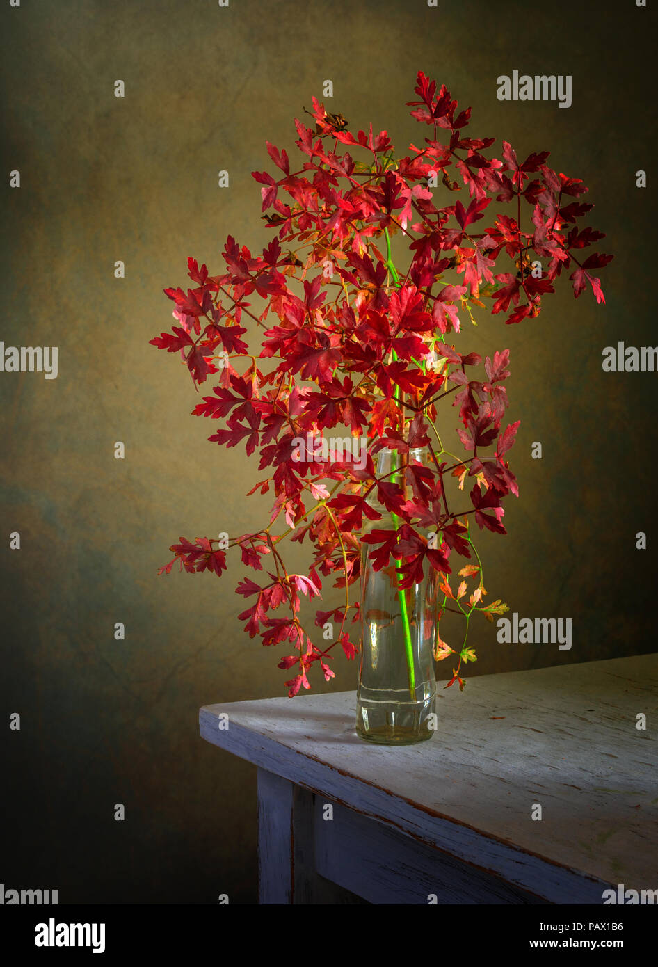 Noch immer leben mit einem Zweig mit roten Blätter. Jahrgang. Stockfoto