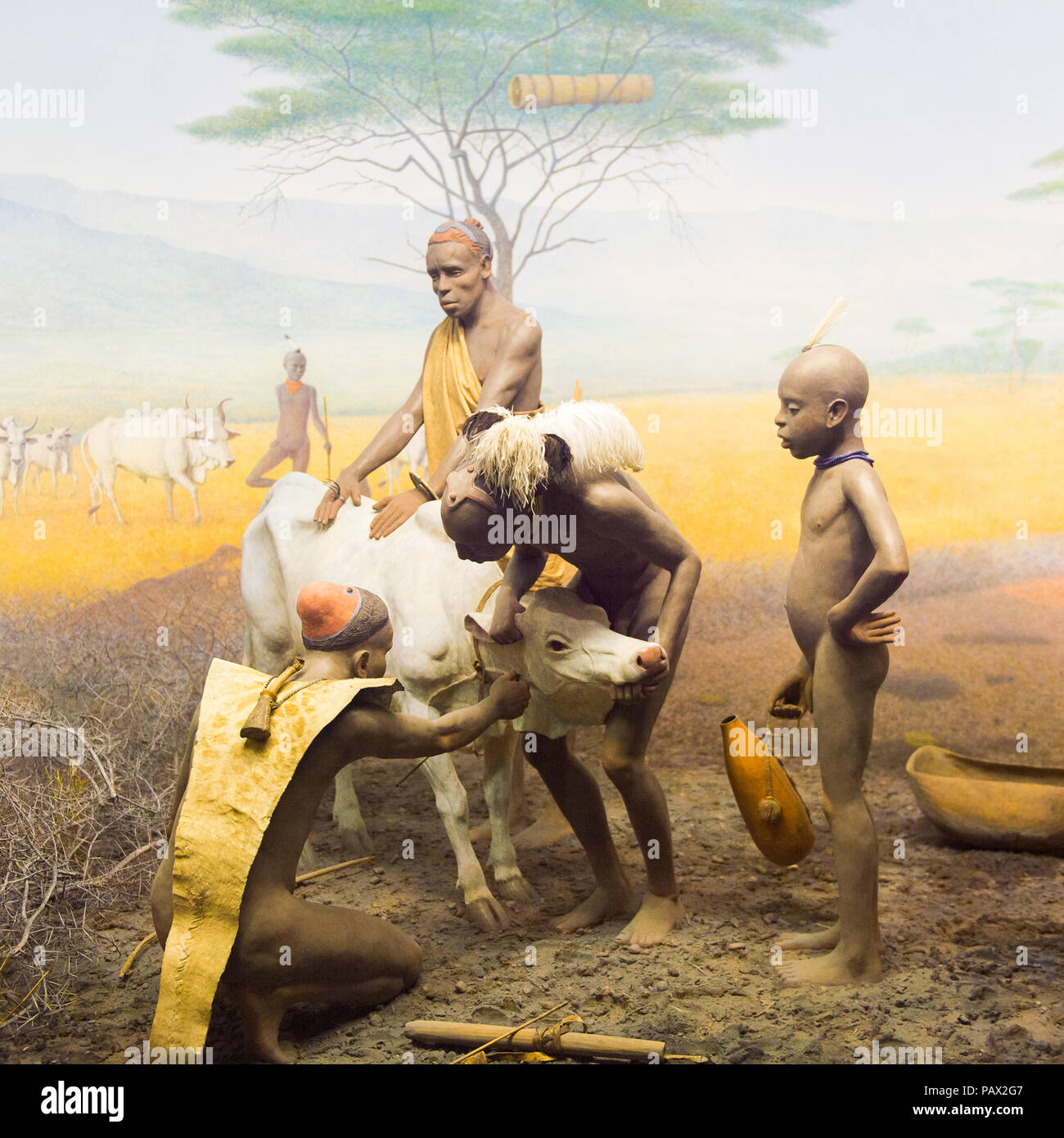 NEW YORK, USA - 22.September 2015: American Museum of Natural History (AMNH). Es ist eines der größten Museen der Welt. Stockfoto