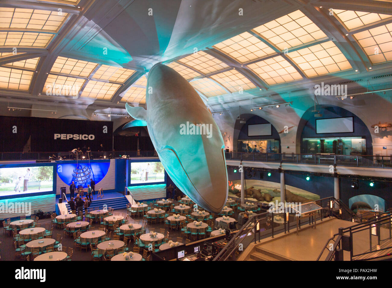 NEW YORK, USA - 22.September 2015: Innenraum des American Museum of Natural History (AMNH). Es ist eines der größten Museen der Welt. Stockfoto