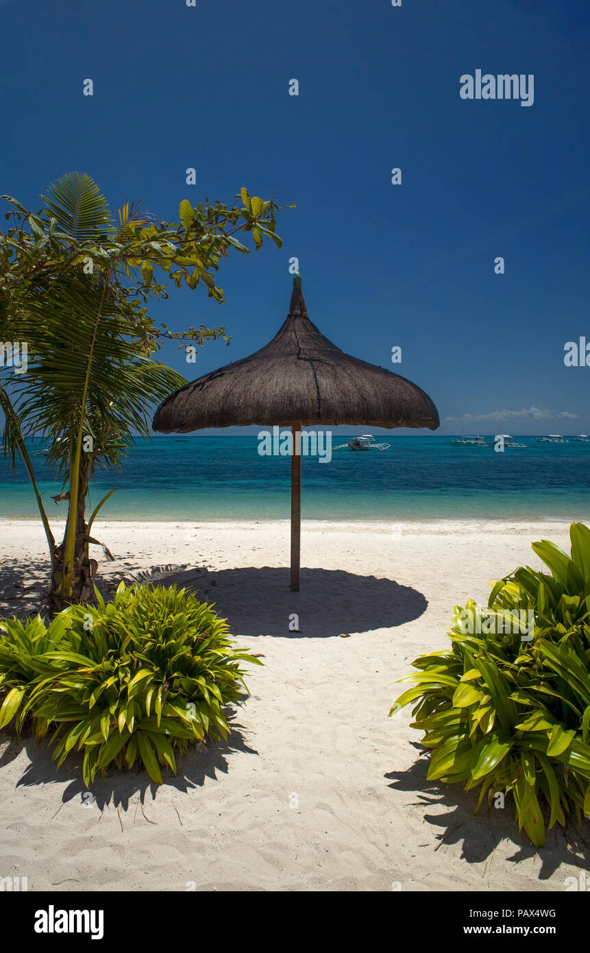 Im traditionellen Stil Sonnenschirm auf Bounty Beach, Insel Malapascua, Cebu Stockfoto