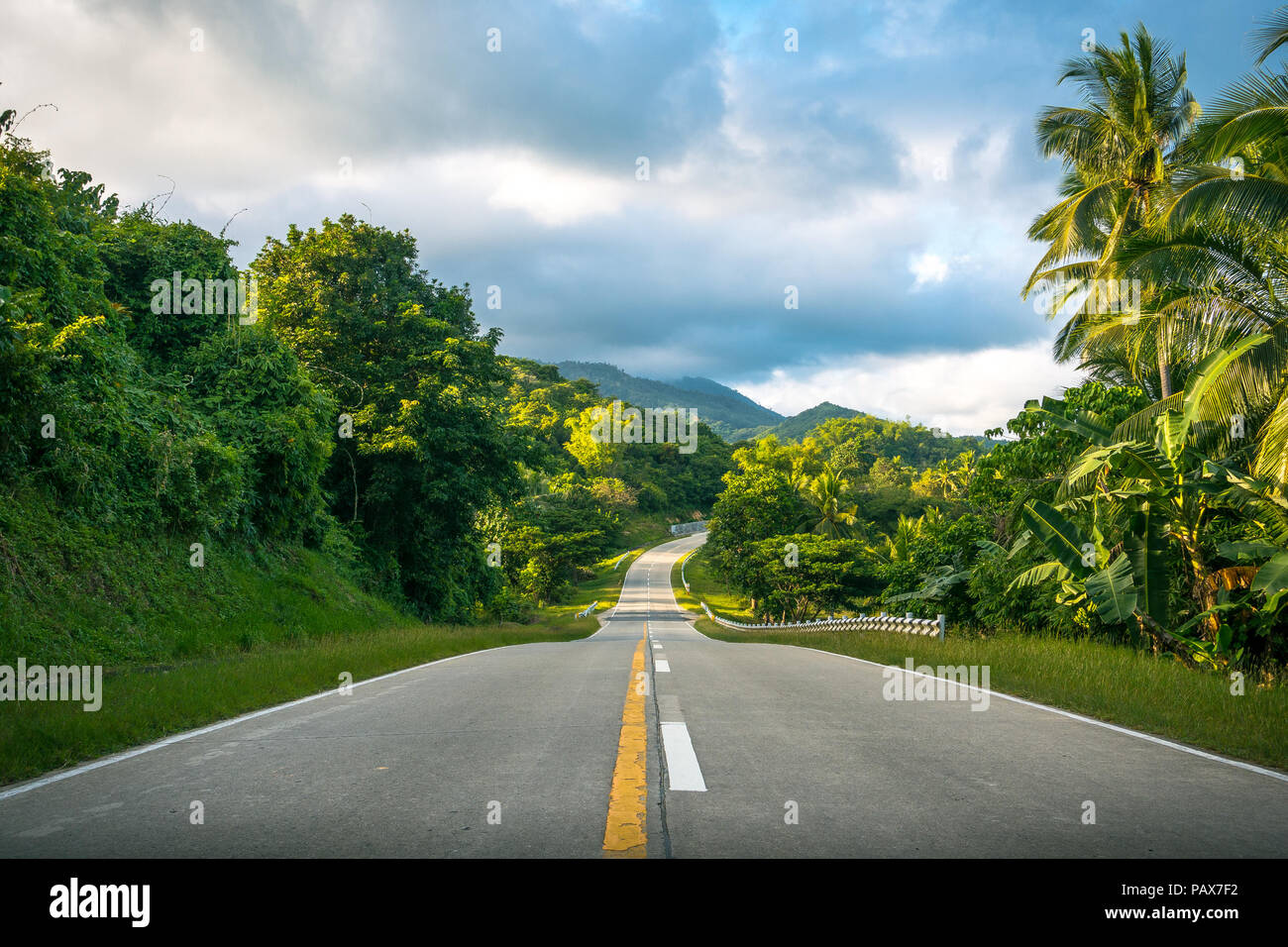 Straße durch einen tropischen Dschungel mit üppigen Palmen in der Nähe von Port Barton, Palawan - Philippinen öffnen Stockfoto