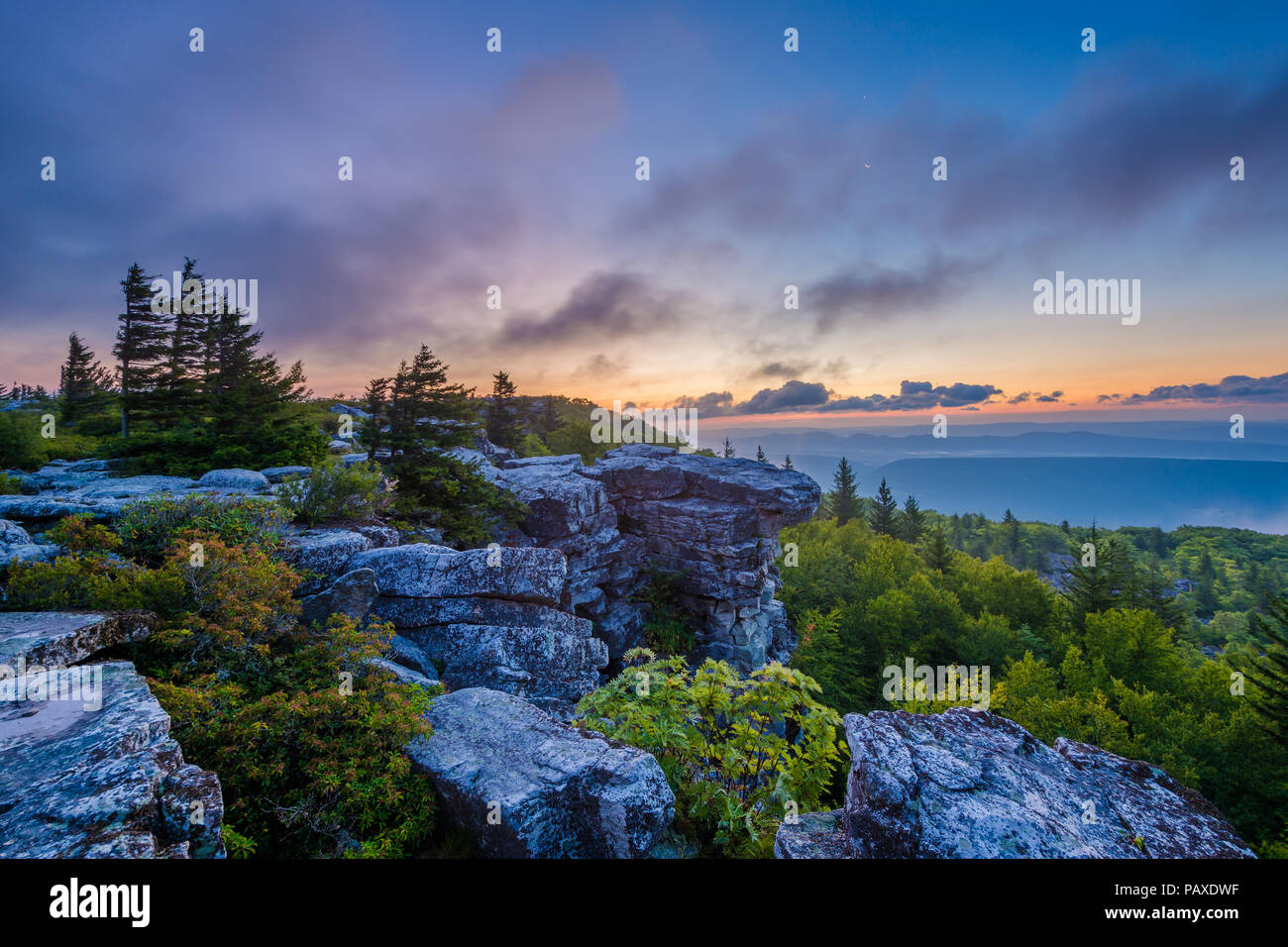 Sonnenaufgang Blick vom Bär Felsen erhalten, Dolly Sods Wüste, Monongahela National Forest, West Virginia. Stockfoto