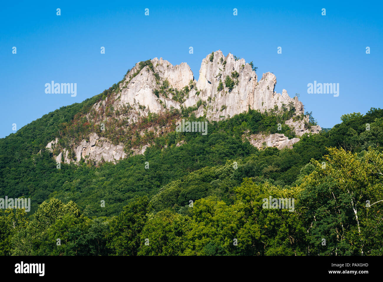 Anzeigen von Seneca Rocks, in Monongahela National Forest, West Virginia. Stockfoto