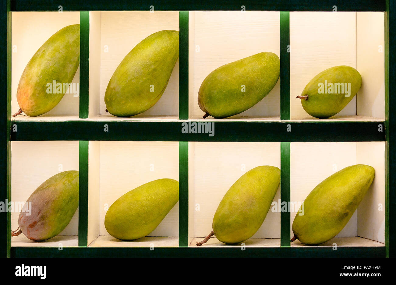 Grun Reife Mango Fruchte Sind Stilvoll In Separaten Zellen Fur Den