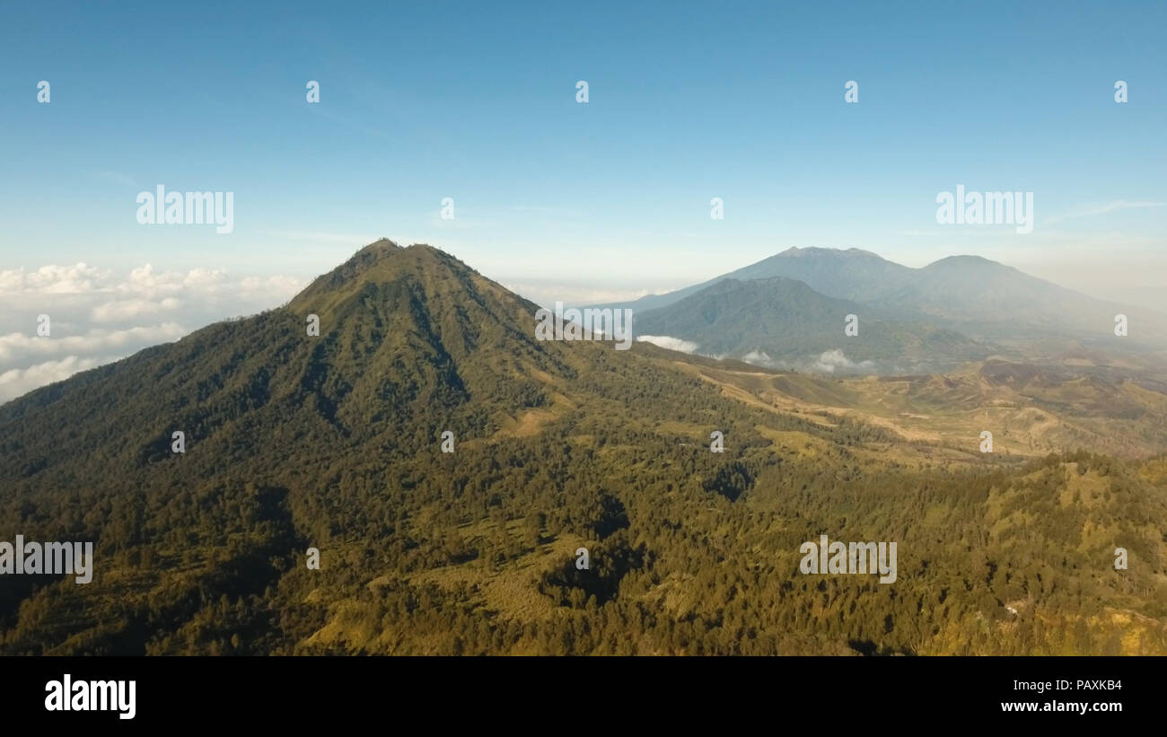 Berglandschaft, Wolken, Erleichterung. Luftbild des grünen tropischen Berg Abdeckung mit Cloud Banyuwangi Regentschaft von Ostjava, Indonesien. Stockfoto