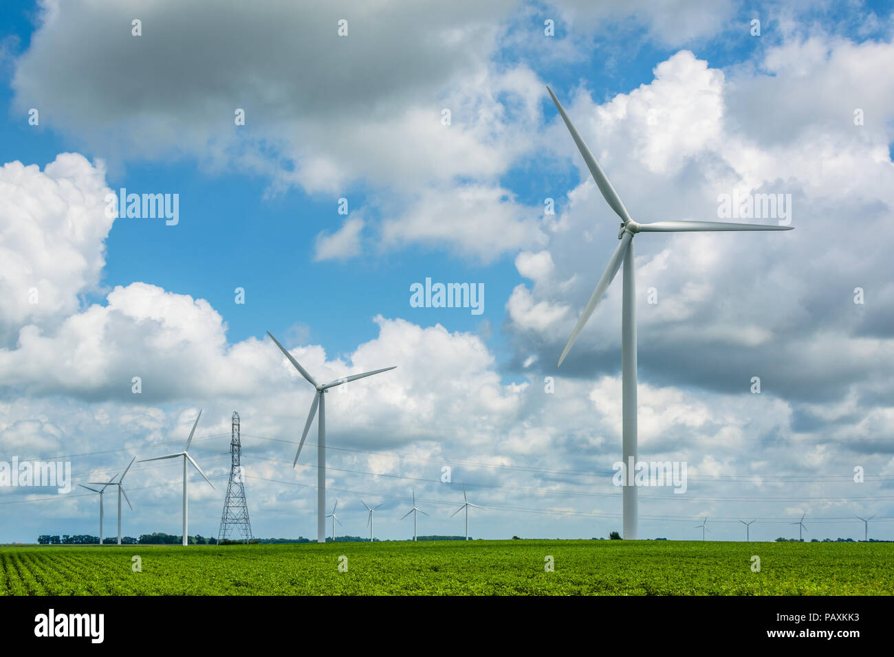 Windmühlen im ländlichen Indiana Stockfoto
