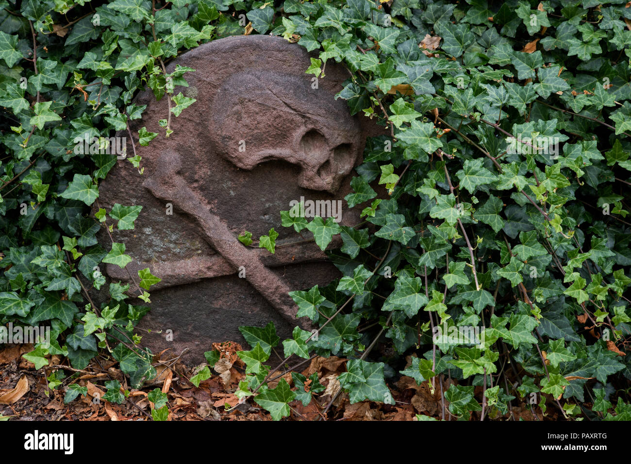 Totenkopf mit gekreuzten Knochen auf einem Grabstein in der greyfriars Kirkyard, Edinburgh geschnitzt. Stockfoto