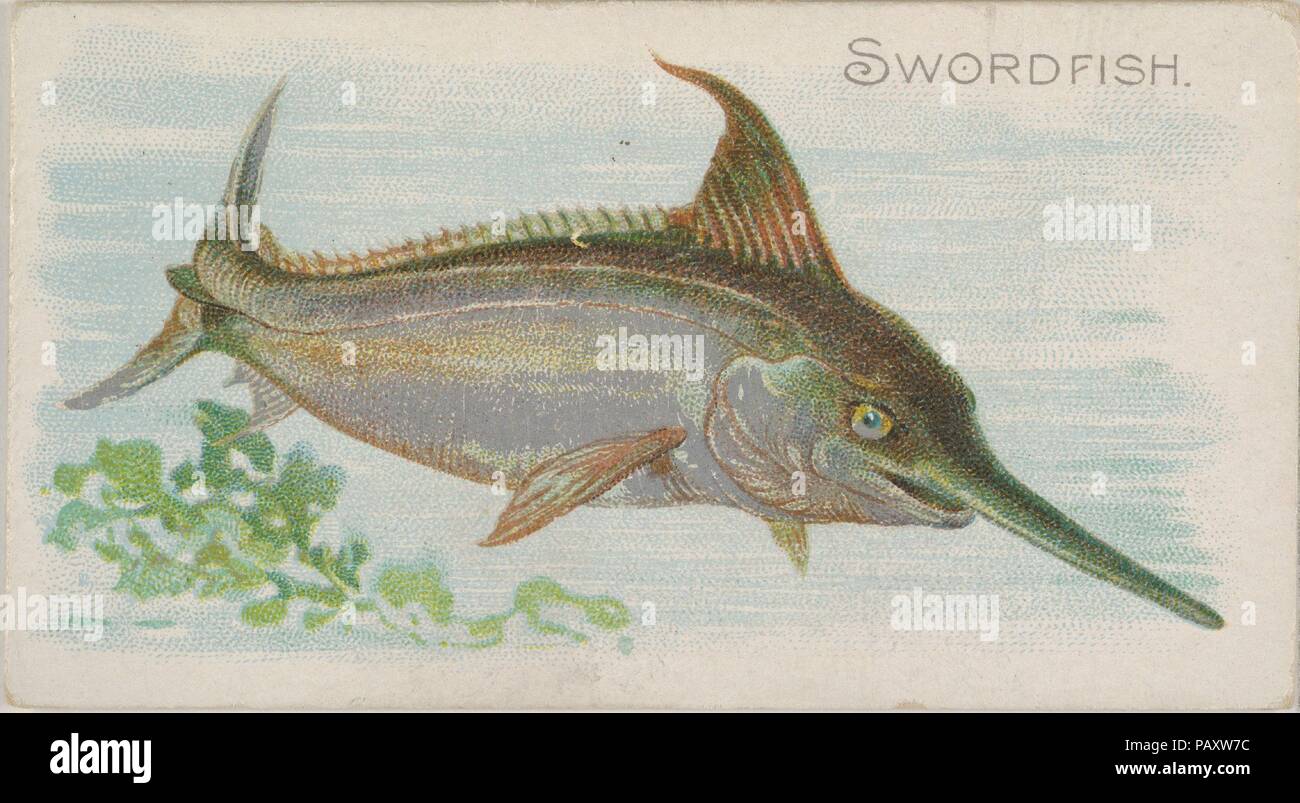 Schwertfisch, vom Fisch aus den amerikanischen Hoheitsgewässern Serie (N 8) für Allen & Ginter Zigaretten Marken. Maße: Blatt: 1 1/2 x 2 3/4 in. (3,8 x 7 cm). Lithograph: Lindner, Eddy & Claus (American, New York). Herausgeber: Herausgegeben von Allen&Ginter (Amerikanische, Richmond, Virginia). Datum: 1889. Handel Karten aus dem 'Fisch aus den amerikanischen Hoheitsgewässern'-Reihe (N8), im Jahre 1889 in einer Reihe von 50 ausgestellten Karten Allen&Ginter Marke Zigaretten zu fördern. Museum: Metropolitan Museum of Art, New York, USA. Stockfoto