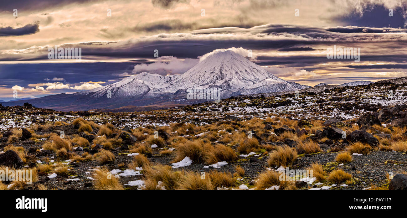 Mt Ngauruhoe, Mount Ruapehu, Tongariro National Park, North Island, Neuseeland Stockfoto