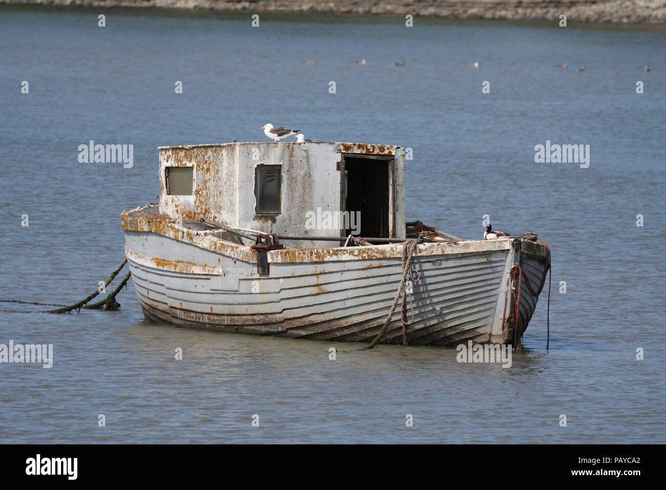 Kleines Fischerboot, mit Verschachtelungen Möwe, Barry Island verlassen Stockfoto