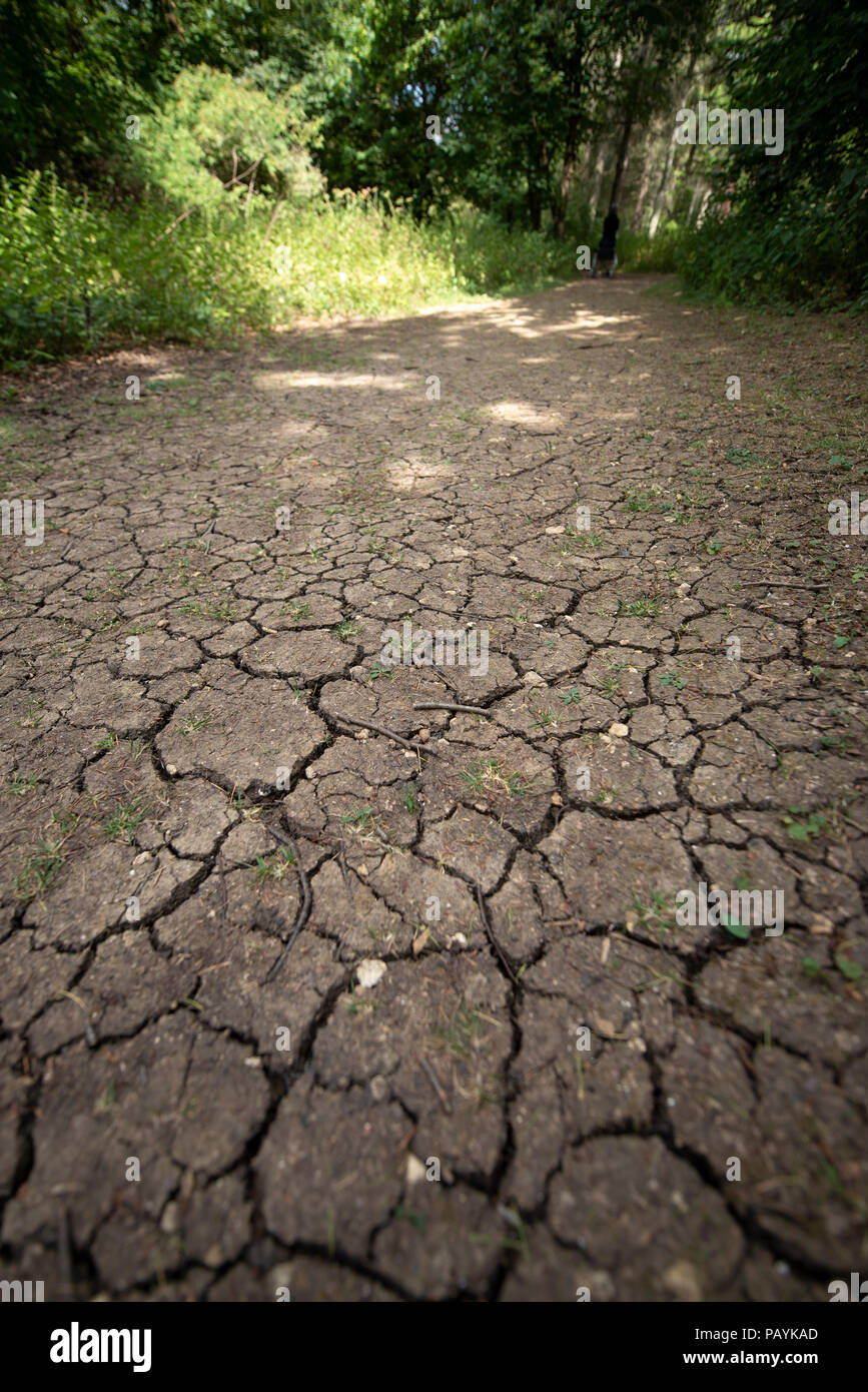 Risse im Boden im Wald wegen der Dürre in der Mitte eines langen, heissen Trockenperiode Stockfoto