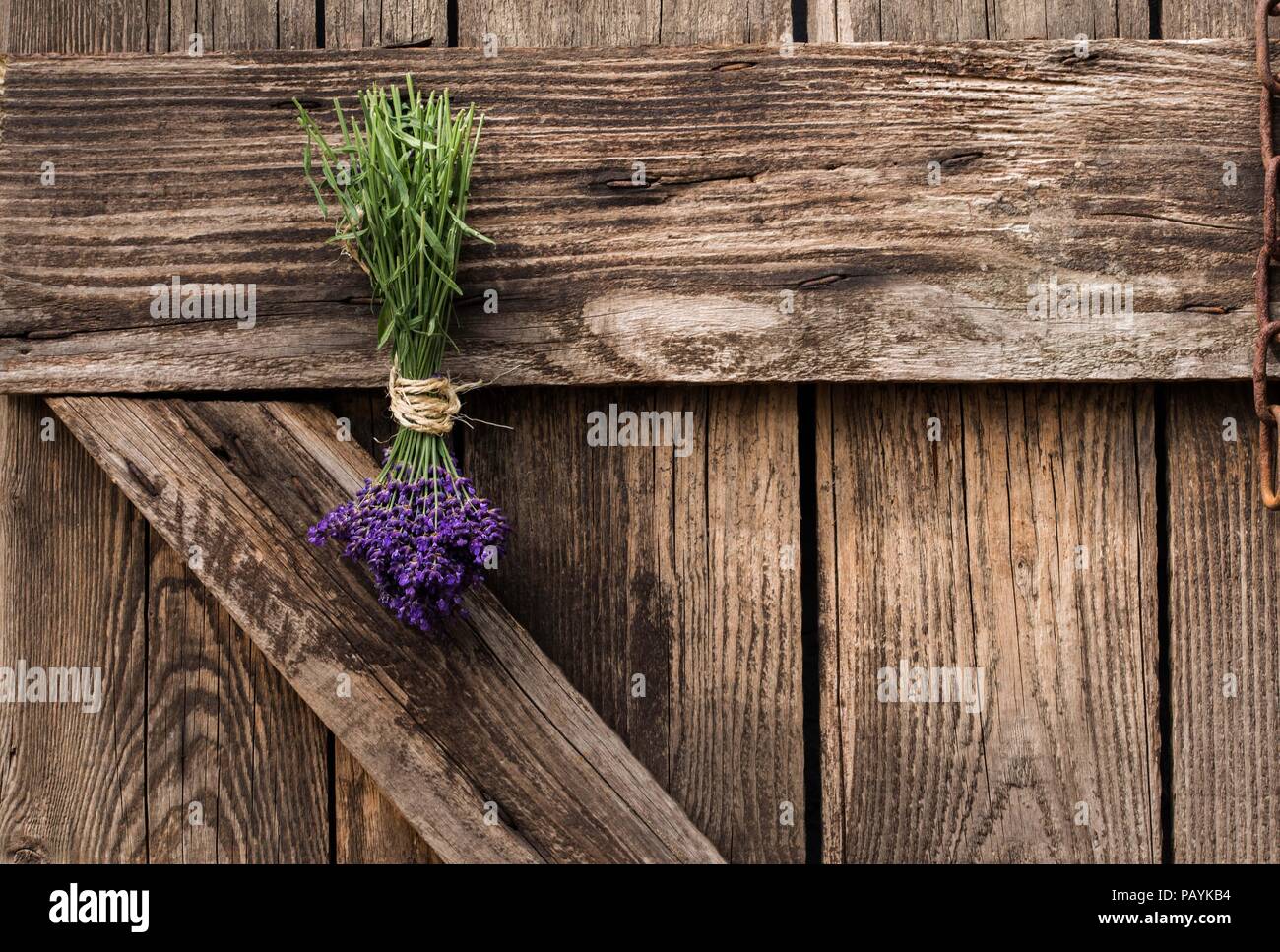 Lavendelbund Eine Holztür Stockfoto