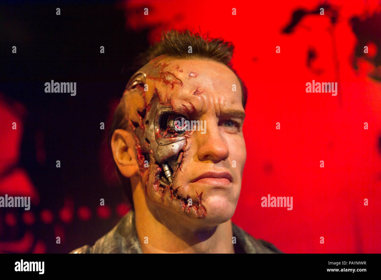 Los Angeles Usa 28 September 2015 Arnold Schwarzenegger Als