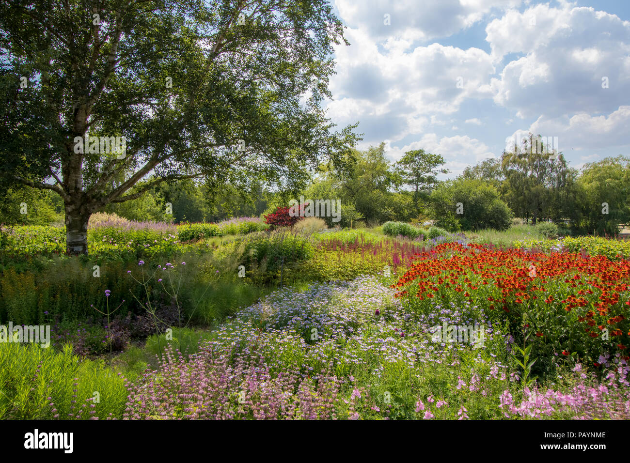 Sommer Land garten landschaft. Bunten malerischen Gartenbau Szene mit schönen Blumen, grüner Bäume und Pflanzen. Die Kunst der Gartenarbeit. Stockfoto
