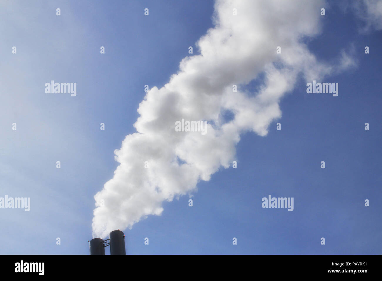 Dampf wogenden aus der Verbrennungsanlage in Poolbeg, Dublin Irland. Die Anlage kann 1800 Tonnen Abfall pro Tag verarbeiten und generieren von 60 Megawatt Stockfoto