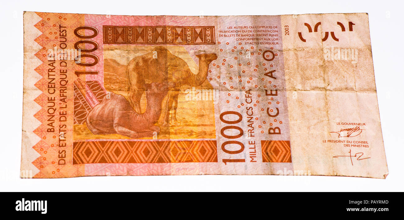 1000 CFA-Franc Bank Note. CFA-Franc ist in 14 afrikanischen Ländern verwendet. Stockfoto