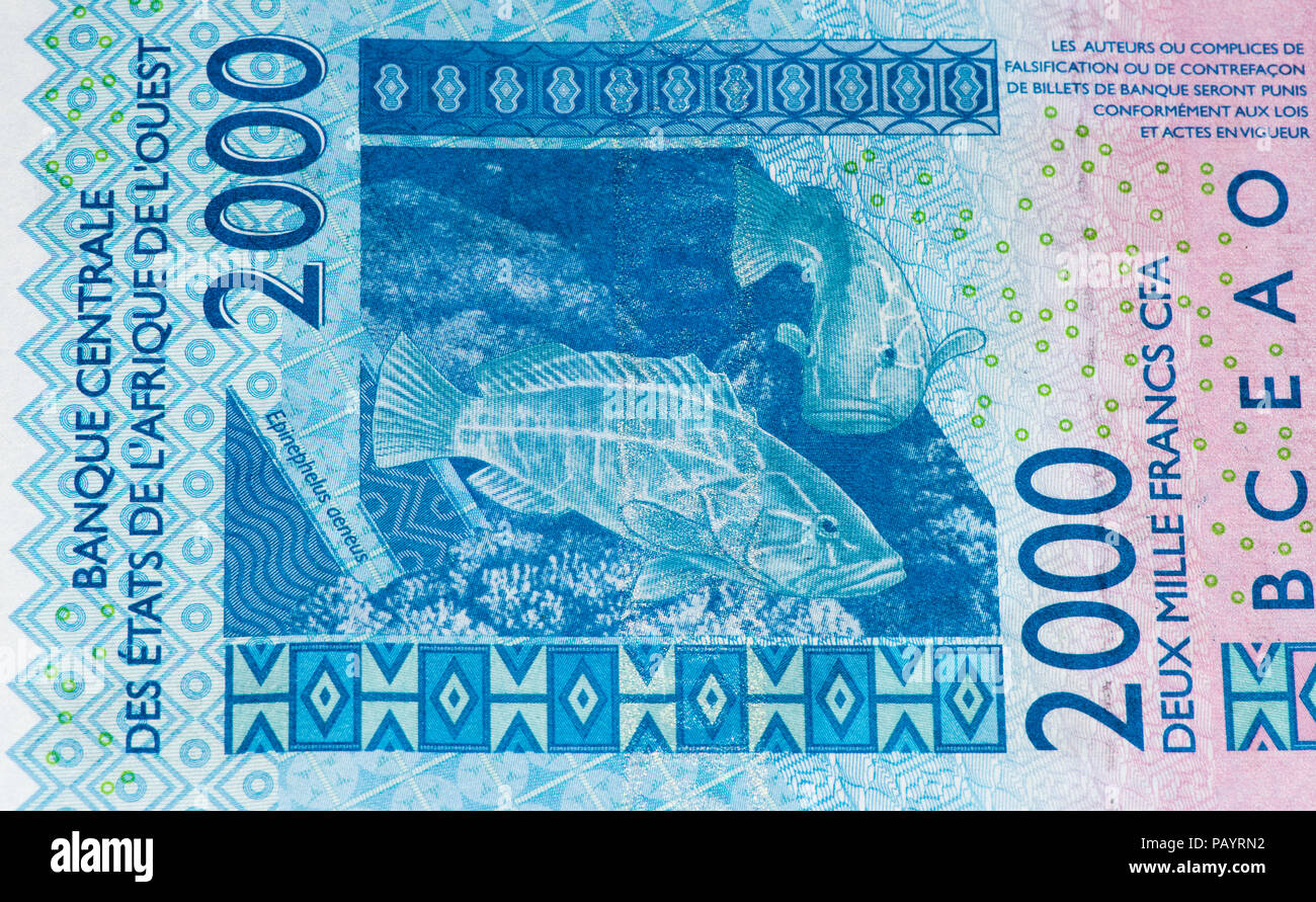 2000 CFA-Franc Bank Note. CFA-Franc ist in 14 afrikanischen Ländern verwendet. Stockfoto