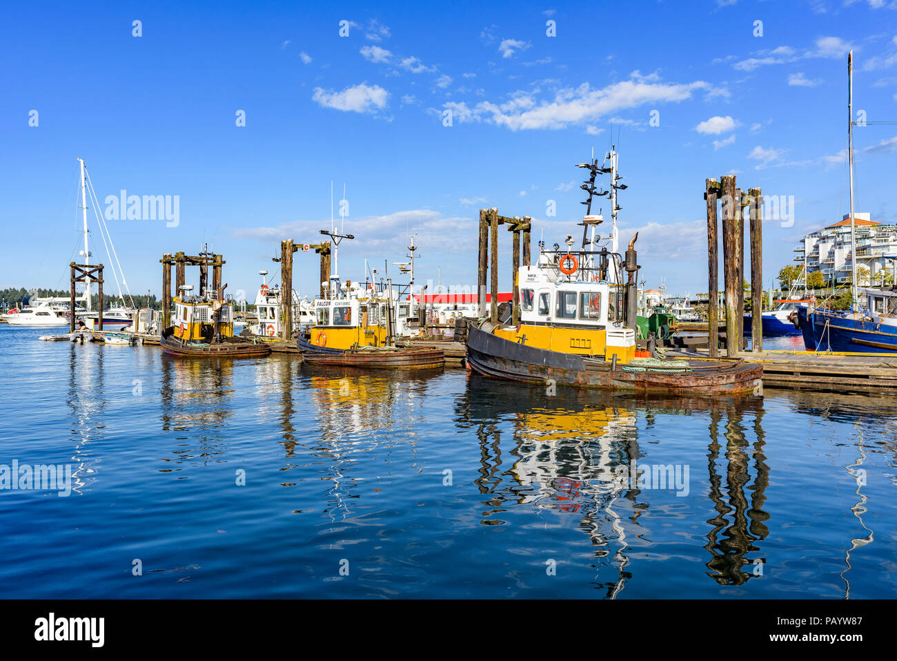 Schlepper im Hafen, Nanaimo, British Columbia, Kanada. Stockfoto