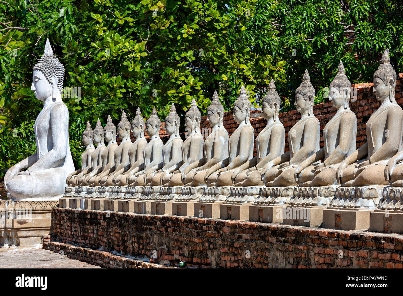 Buddha Statuen in den alten Tempel Wat Yai Chai Mongkhon, in Ayutthaya, Thailand bekannt. Stockfoto
