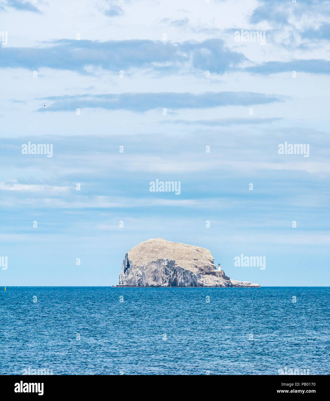 Bass Rock, größte Nördliche Gannetkolonie, weiß mit nistenden Tölpeln im Sommer, Firth of Forth, Schottland, Großbritannien Stockfoto